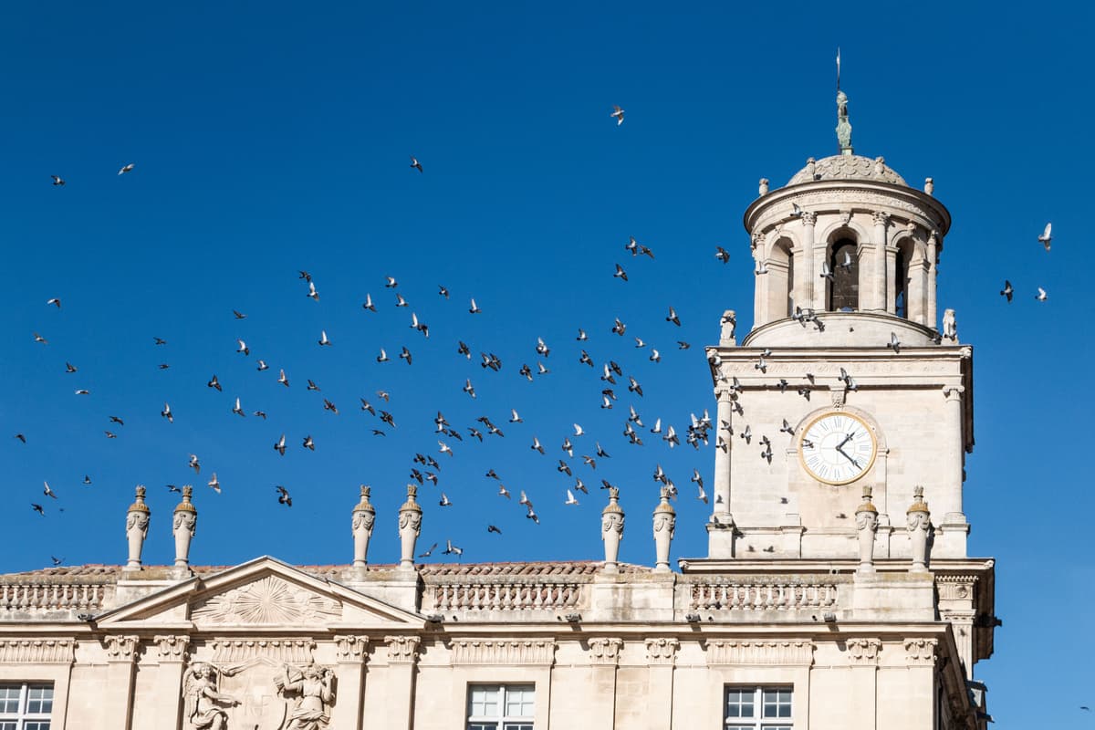 Mairie d'Arles